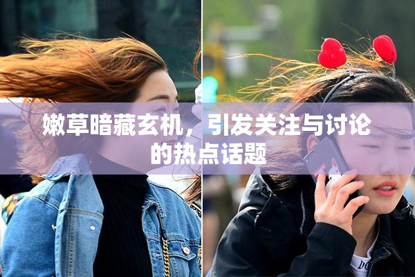 嫩草暗藏玄机，引发关注与讨论的热点话题