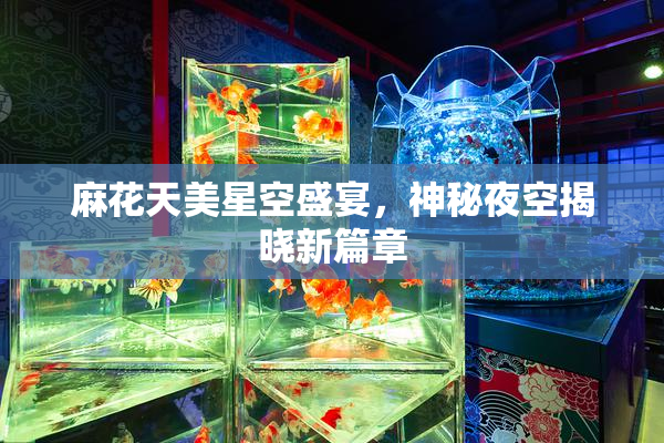 麻花天美星空盛宴，神秘夜空揭晓新篇章