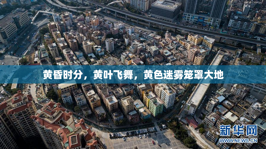 黄昏时分，黄叶飞舞，黄色迷雾笼罩大地