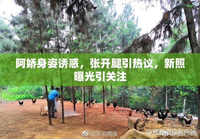 阿娇身姿诱惑，张开腿引热议，新照曝光引关注