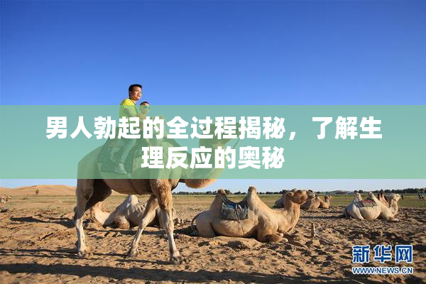 男人勃起的全过程揭秘，了解生理反应的奥秘
