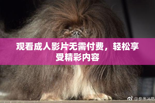 观看成人影片无需付费，轻松享受精彩内容