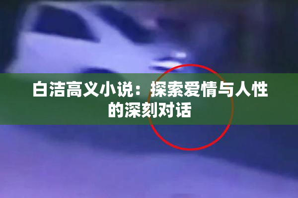 白洁高义小说：探索爱情与人性的深刻对话
