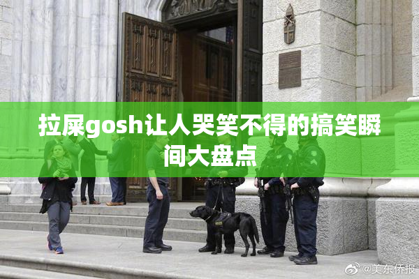 拉屎gosh让人哭笑不得的搞笑瞬间大盘点