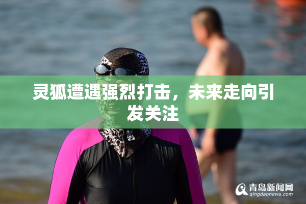 灵狐遭遇强烈打击，未来走向引发关注