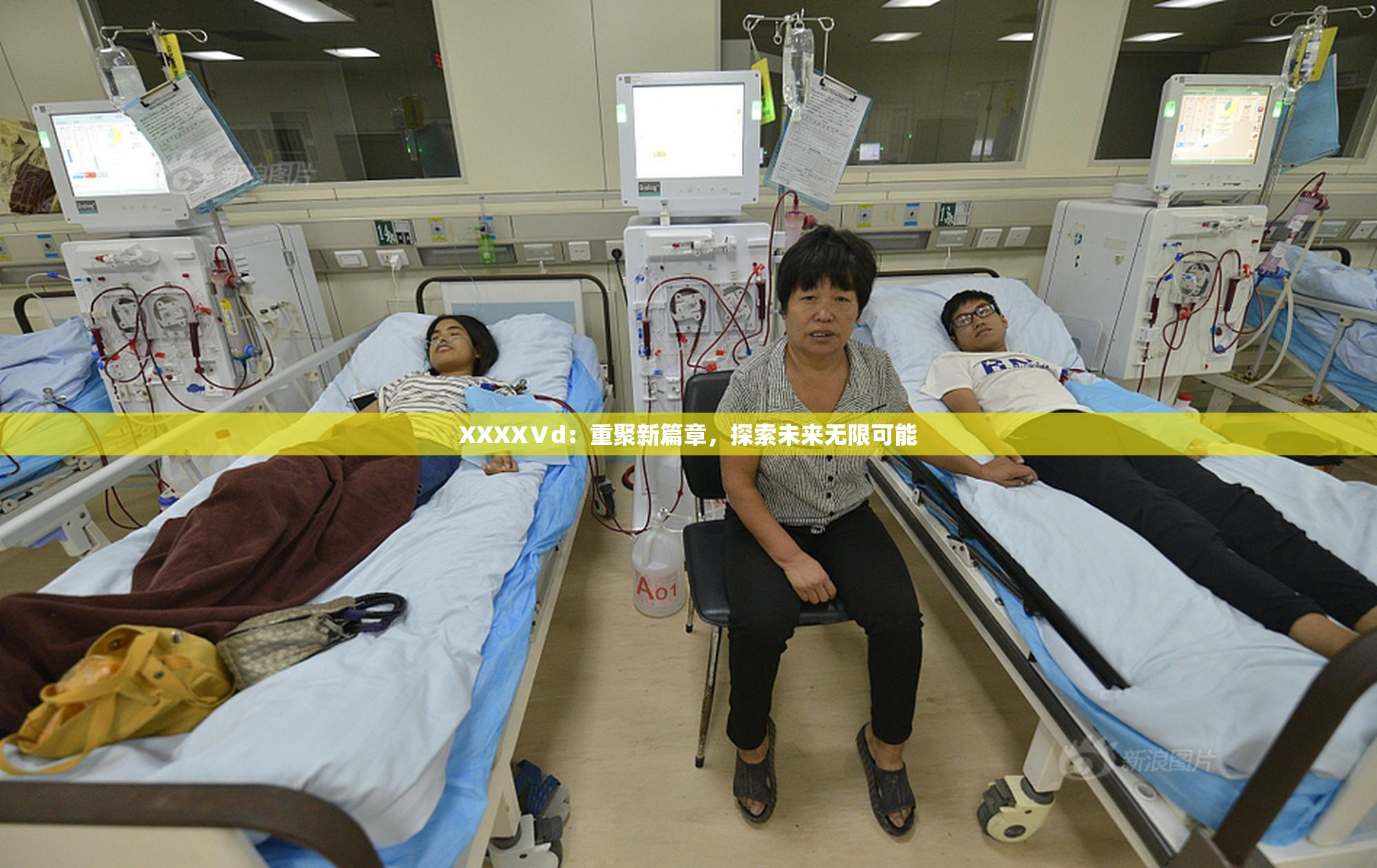 XXXXⅤd：重聚新篇章，探索未来无限可能