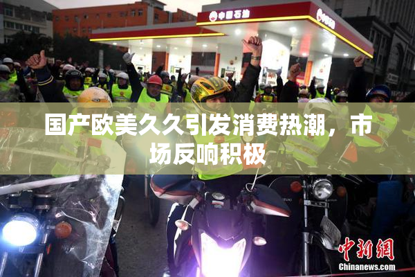 国产欧美久久引发消费热潮，市场反响积极