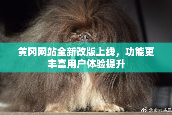 黄冈网站全新改版上线，功能更丰富用户体验提升