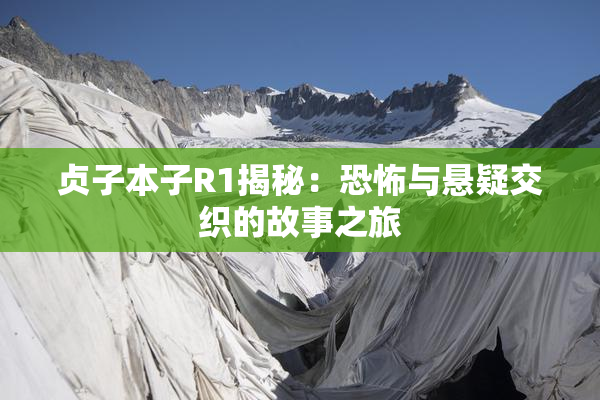 贞子本子R1揭秘：恐怖与悬疑交织的故事之旅