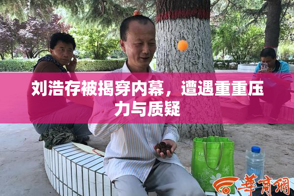 刘浩存被揭穿内幕，遭遇重重压力与质疑
