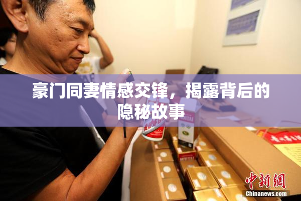 豪门同妻情感交锋，揭露背后的隐秘故事