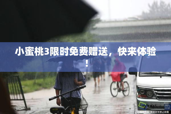 小蜜桃3限时免费赠送，快来体验！