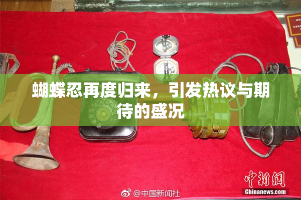 蝴蝶忍再度归来，引发热议与期待的盛况