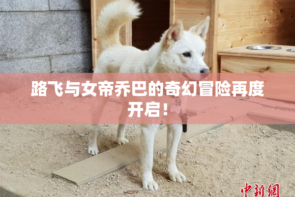 路飞与女帝乔巴的奇幻冒险再度开启！
