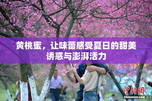 黄桃蜜，让味蕾感受夏日的甜美诱惑与澎湃活力