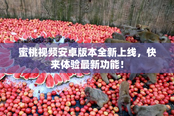 蜜桃视频安卓版本全新上线，快来体验最新功能！