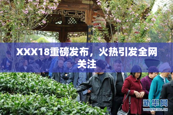 XXX18重磅发布，火热引发全网关注
