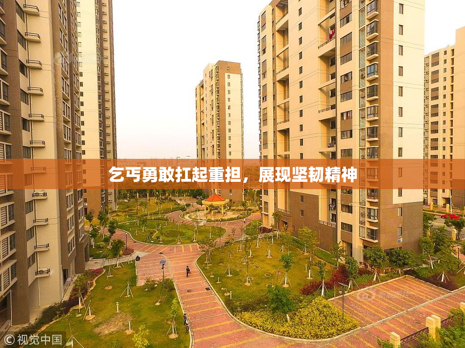 乞丐勇敢扛起重担，展现坚韧精神