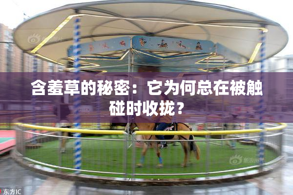 含羞草的秘密：它为何总在被触碰时收拢？