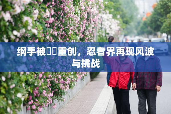 纲手被❌‌重创，忍者界再现风波与挑战