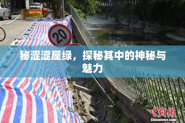 秘涩涩屋绿，探秘其中的神秘与魅力