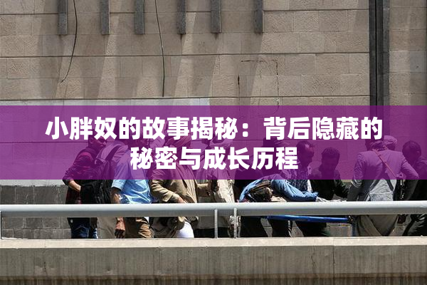 小胖奴的故事揭秘：背后隐藏的秘密与成长历程