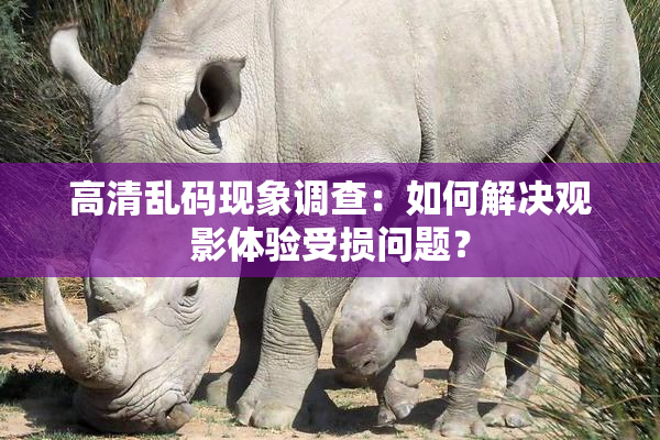 高清乱码现象调查：如何解决观影体验受损问题？