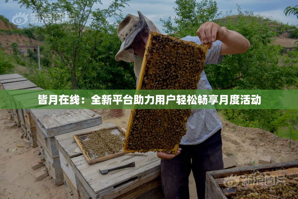 皆月在线：全新平台助力用户轻松畅享月度活动