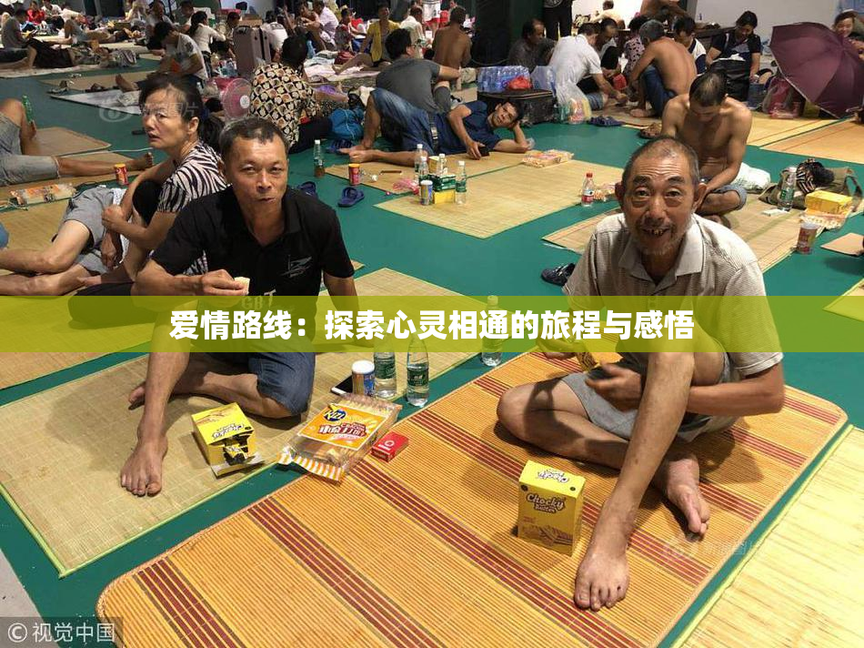 爱情路线：探索心灵相通的旅程与感悟