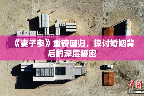 《妻子参》重磅回归，探讨婚姻背后的深层秘密