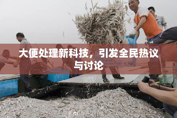 大便处理新科技，引发全民热议与讨论