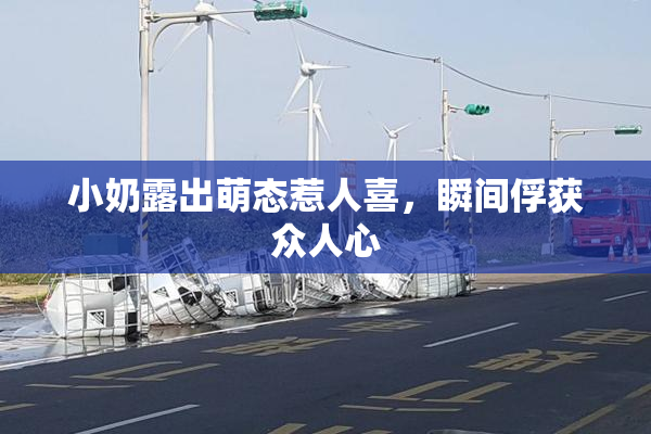 小奶露出萌态惹人喜，瞬间俘获众人心