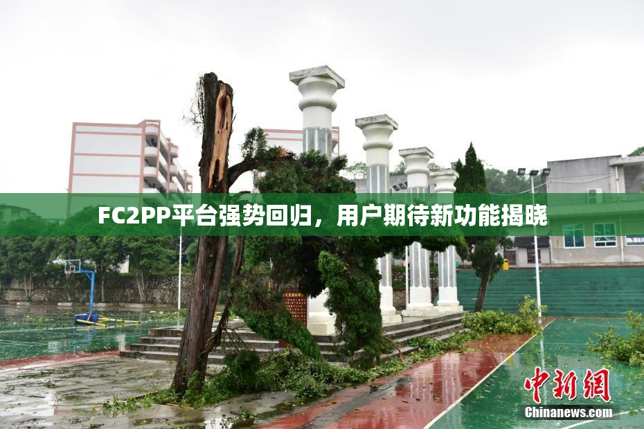 FC2PP平台强势回归，用户期待新功能揭晓