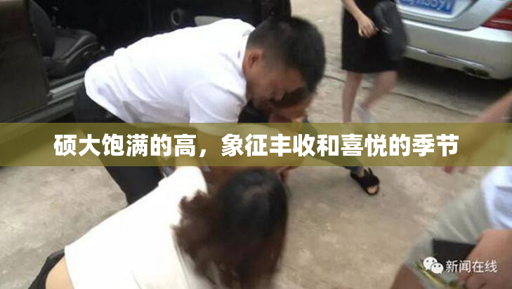 硕大饱满的高，象征丰收和喜悦的季节