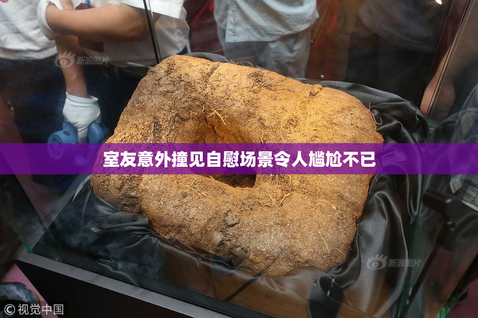 室友意外撞见自慰场景令人尴尬不已
