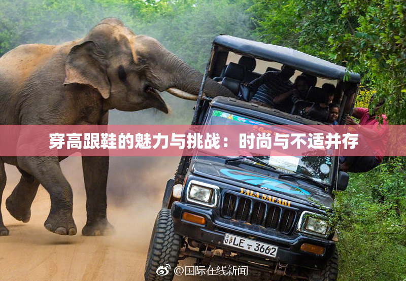 穿高跟鞋的魅力与挑战：时尚与不适并存