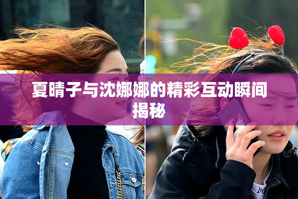 夏晴子与沈娜娜的精彩互动瞬间揭秘