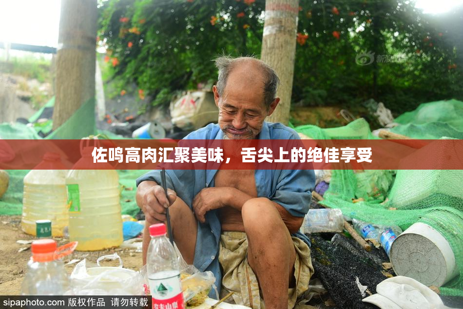 佐鸣高肉汇聚美味，舌尖上的绝佳享受