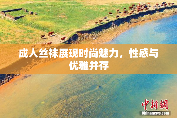 成人丝袜展现时尚魅力，性感与优雅并存