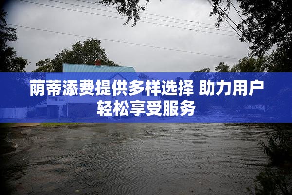 荫蒂添费提供多样选择 助力用户轻松享受服务