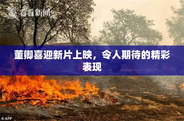 董卿喜迎新片上映，令人期待的精彩表现