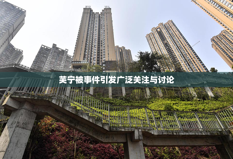 芙宁被事件引发广泛关注与讨论