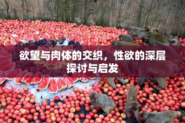 欲望与肉体的交织，性欲的深层探讨与启发