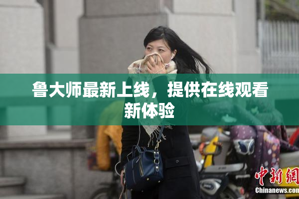 鲁大师最新上线，提供在线观看新体验