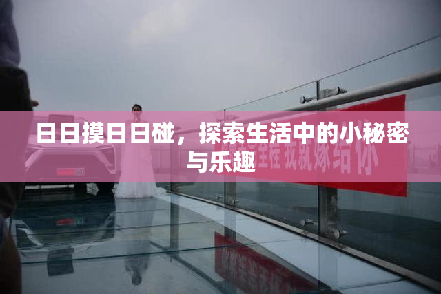 日日摸日日碰，探索生活中的小秘密与乐趣