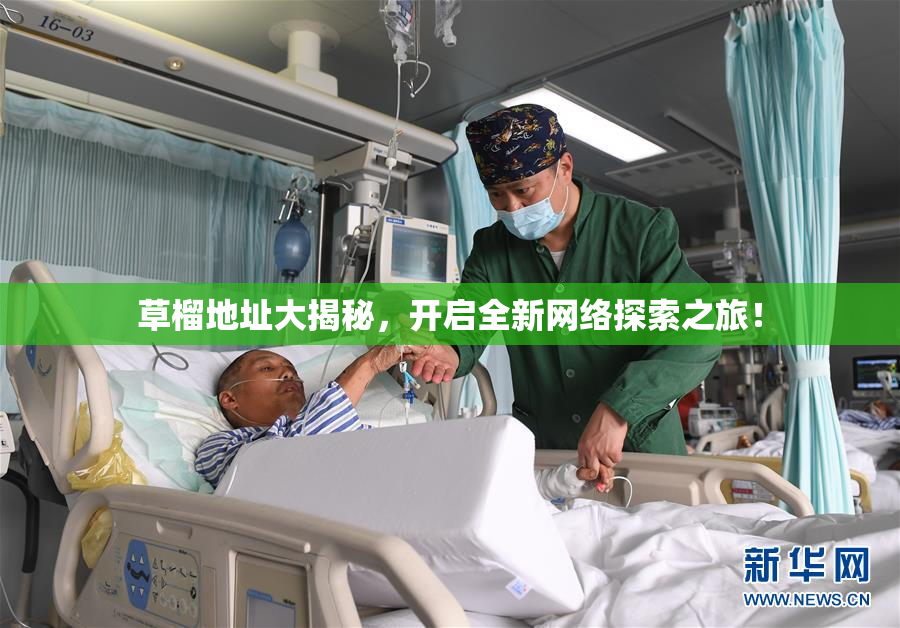 草榴地址大揭秘，开启全新网络探索之旅！