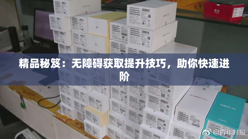 精品秘笈：无障碍获取提升技巧，助你快速进阶