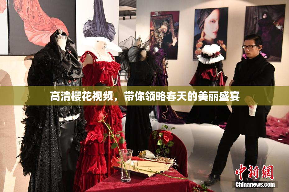 高清樱花视频，带你领略春天的美丽盛宴