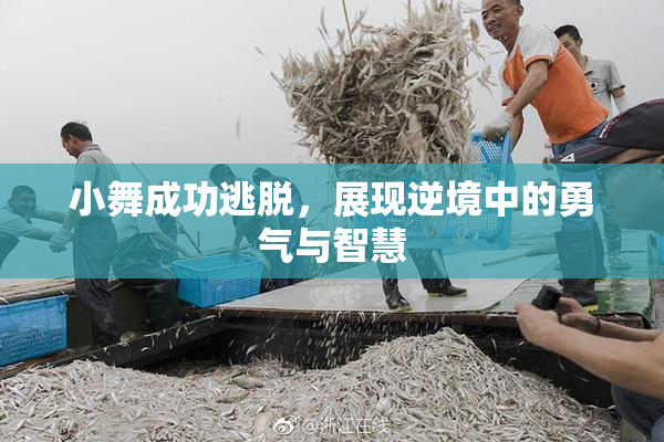 小舞成功逃脱，展现逆境中的勇气与智慧