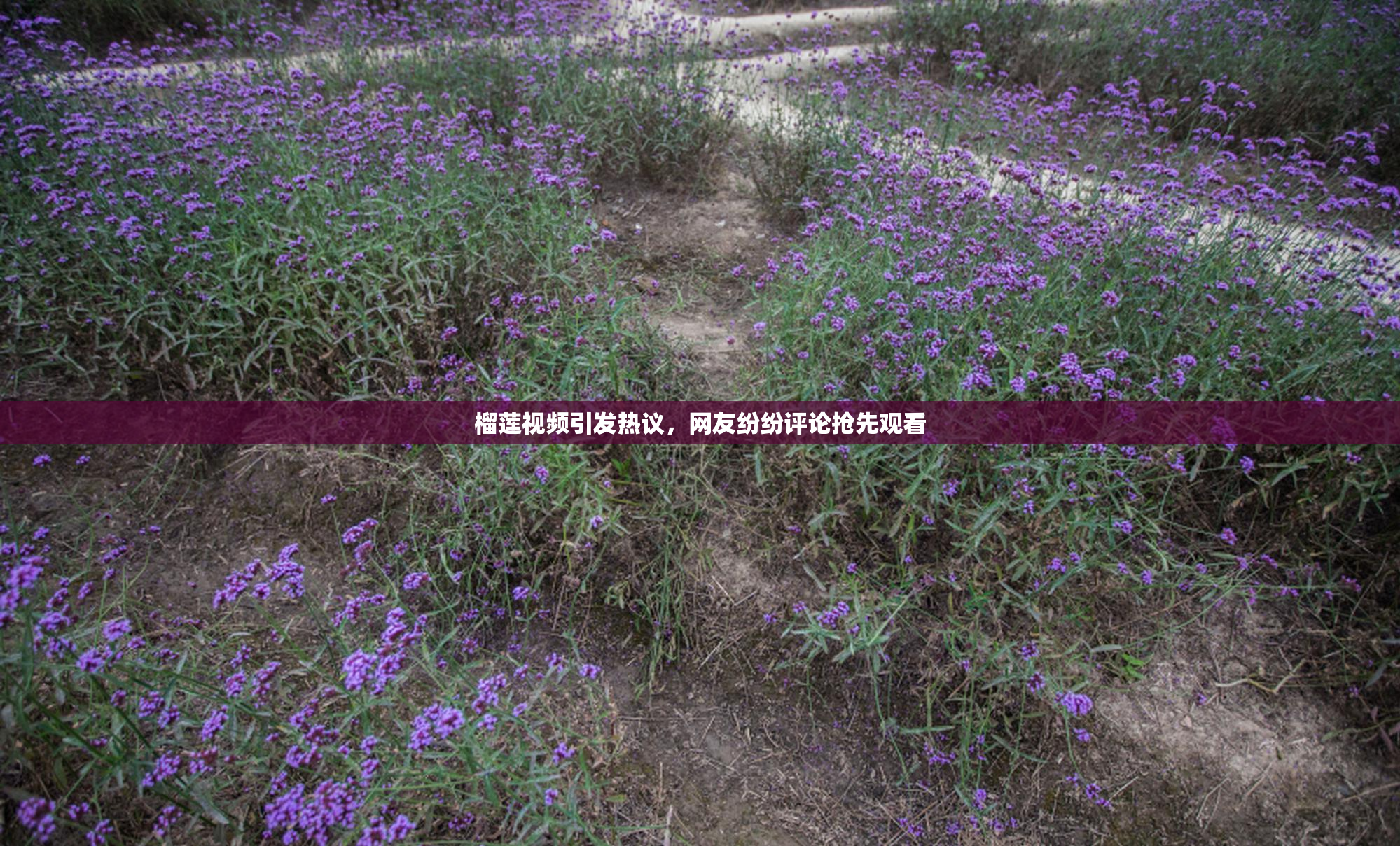 榴莲视频引发热议，网友纷纷评论抢先观看